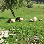 Casa Camposelvatico Holiday home Valdena